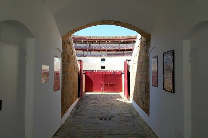 Tour of Malaga Bullring & Bullfighting Museum with Audioguide - Six museum rooms that explain the tradition