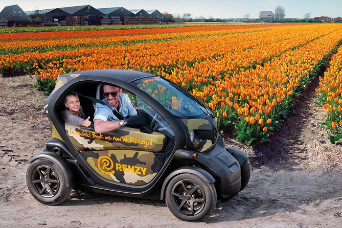 Tulip Fields near Keukenhof - Self-Drive Audio Tour for 2 People - Seeing tulips as working farm crops
