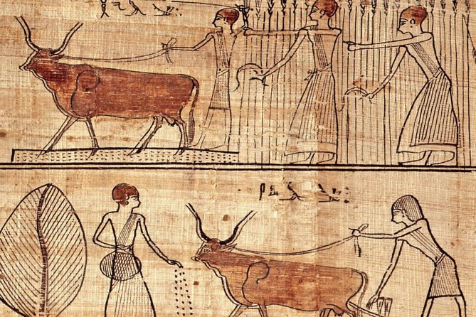 Turin Egyptian Museum Entry Ticket plus Turin Digital Audioguide - The first museum levels: daily life, objects, and social order