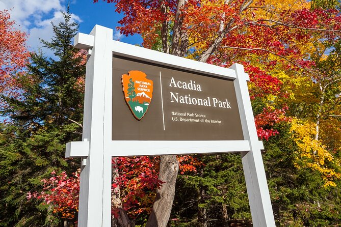 Ultimate Acadia National Park Self-Guided Driving Audio Tour - Precipice Trail or the easier Ocean Path