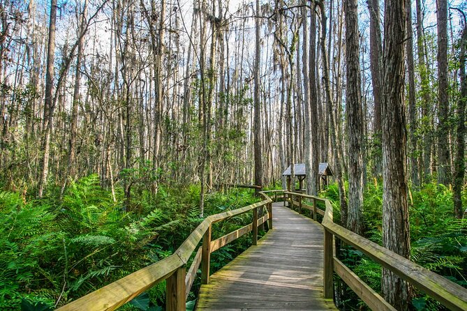 Ultimate Florida Self Guided Driving & Walking Audio Tour Bundle - Everglades National Park and Big Cypress