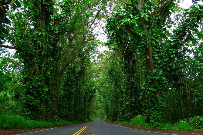Ultimate Self-Guided Audio Driving Tour of Kauai (Na Pali, Waimea), Hawaii - Waimea Canyon, the tour’s essential stop