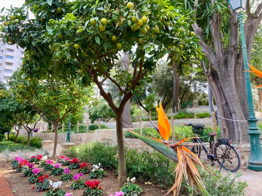 Valencia: 2-in-1 Biking and Walking Audio-Guided Route - Who will enjoy this Valencia experience?