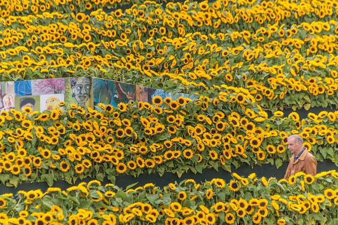 Van Gogh Museum Skip the Queue with Audio Guide - A Good Museum Visit for Families