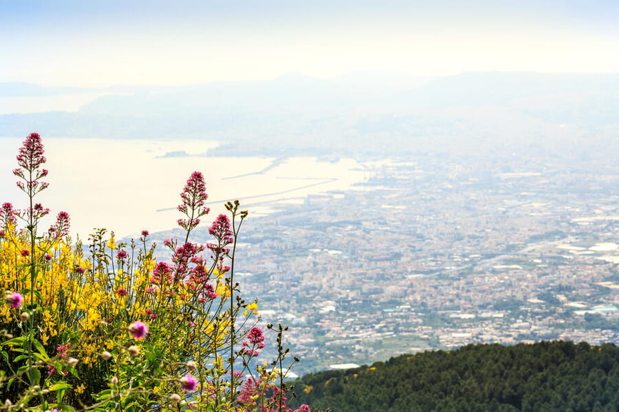 Vesuvio Skip The Line Ticket With Digital Audioguide - Reaching the volcano without included transport