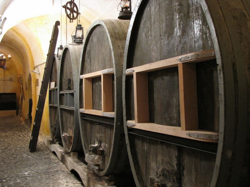 Vothonas: Wine Museum Ticket with Tastings and Audio Guide - Is this a good choice for families?