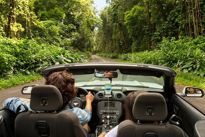 West Maui Self-Guided Audio Tour - Honolua Bay and the jungle path to the water