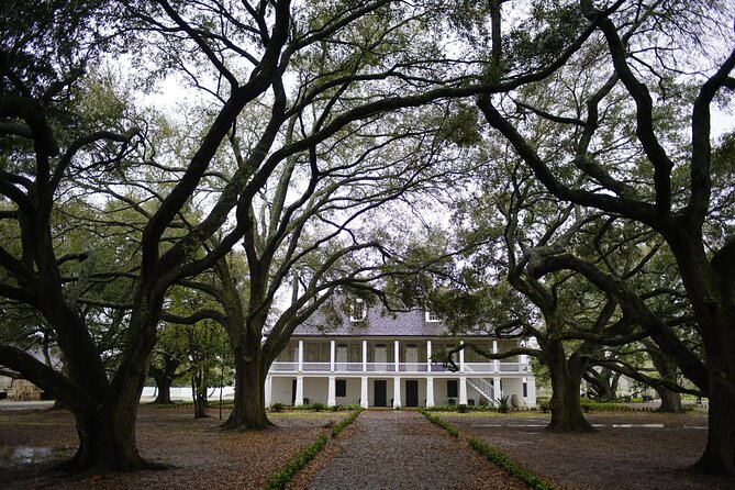 Whitney Plantation Tour with Transportation - Key points to know before you book