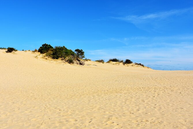 Wright Brothers Carolina Dunes Self-Guided Driving Audio Tour - Duck Town Park Boardwalk and a useful pause