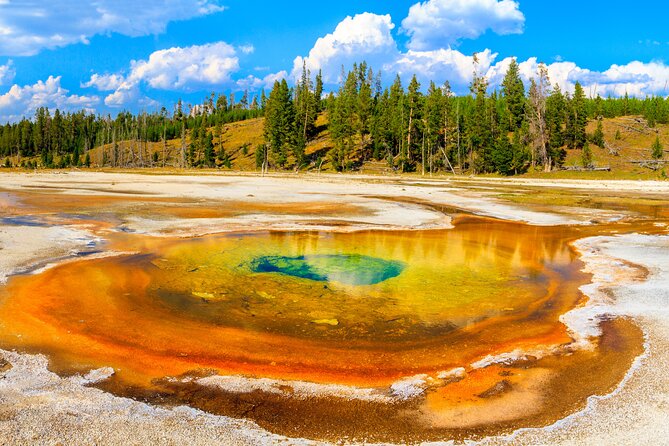 Yellowstone National Park Self-Guided Driving Audio Tour - Mammoth Hot Springs and the North Entrance