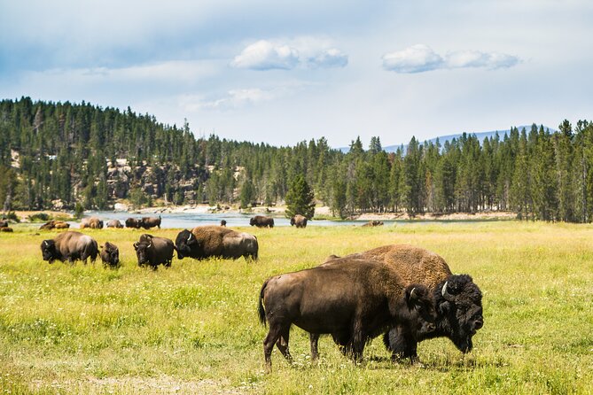 Yellowstone National Park Self-Guided Driving Audio Tour - How long you really need for the tour