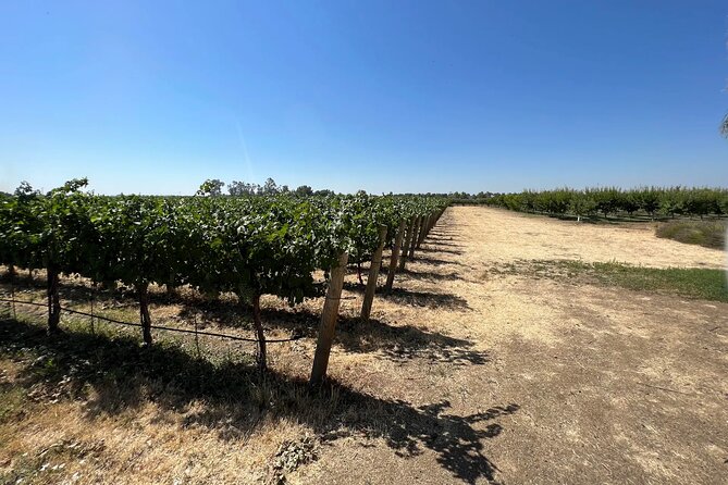 Yolo County Explorer: Culinary & Cultural Audio Tour - Key points to know before you book