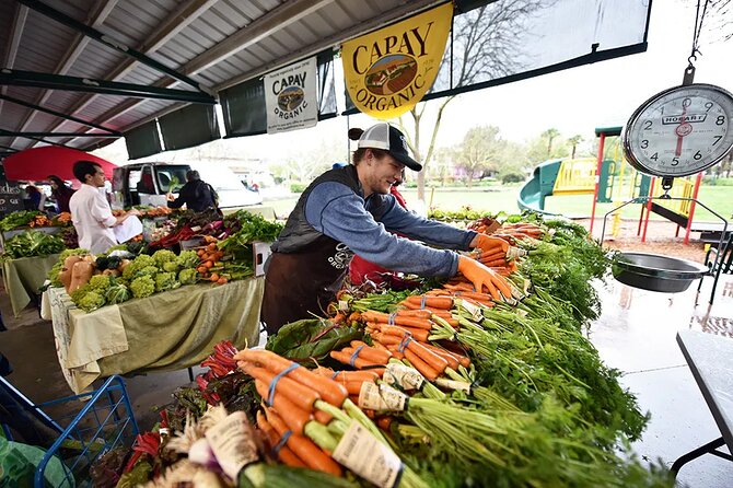 Yolo County Explorer: Culinary & Cultural Audio Tour - What this Yolo County route is really about