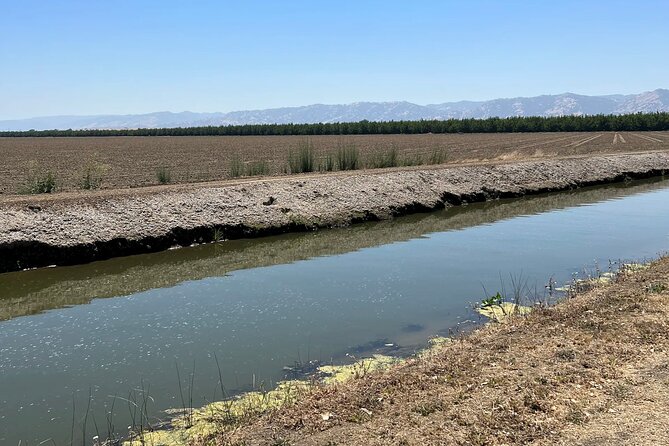 Yolo County Explorer: Culinary & Cultural Audio Tour - Bees and habitat at Buzzin With The Hive