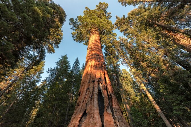 Yosemite National Park Self Guided Driving Audio Tour Guide - Three Brothers, Sentinel Rock, and Yosemite Falls