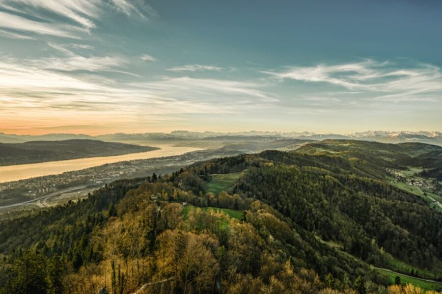 Zurich: Audio Guided City Tour and Train to “Top of Zurich” - Who will enjoy this combination